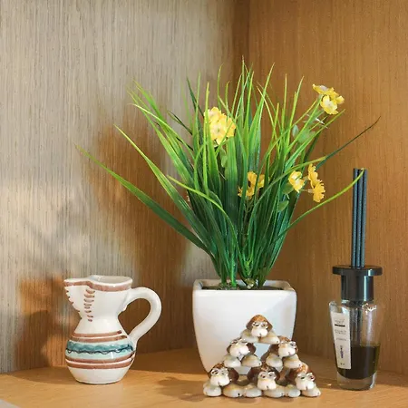 Villa Casa Celeste - Immersa Nel Con Piscina Privata